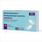 амоксициллин плюс клавулановая к-та экспресс таб дисперг 125мг плюс 31,25мг n14 фото