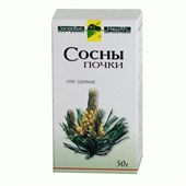 сосны почки пач 35г фото