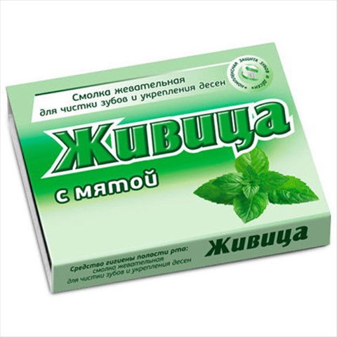живица смолка жев листвен 5 мята фото