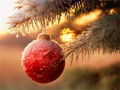 с новым годом!!!
