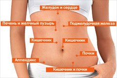 болит живот: причины, виды боли и когда обращаться к врачу.