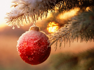 с новым годом!!!