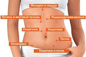 болит живот: причины, виды боли и когда обращаться к врачу.