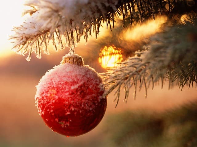 С новым годом!!!