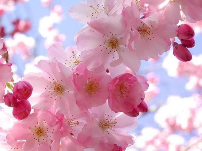 Средства интимной гигиены Вагисил