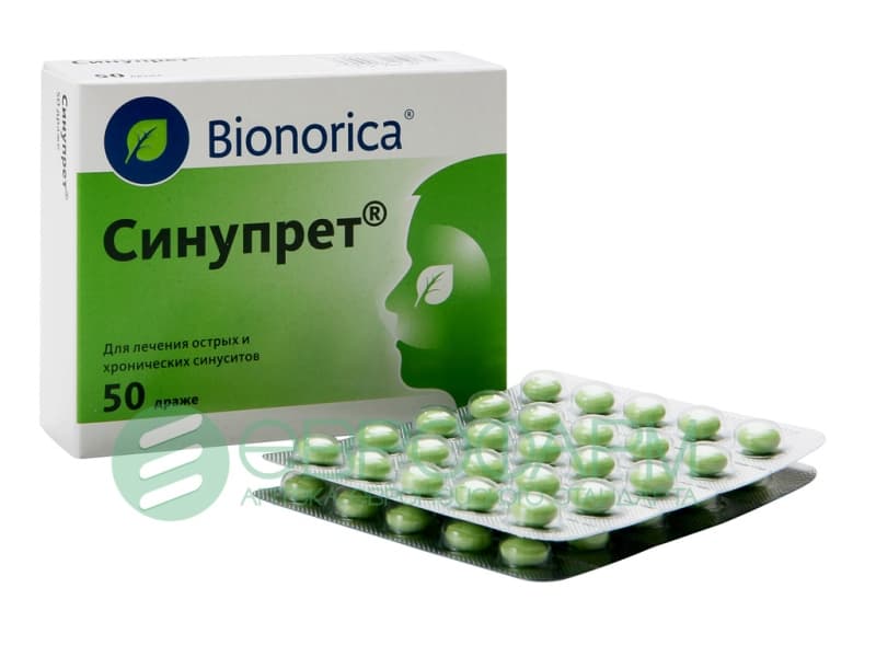 синупрет драже 50 шт 